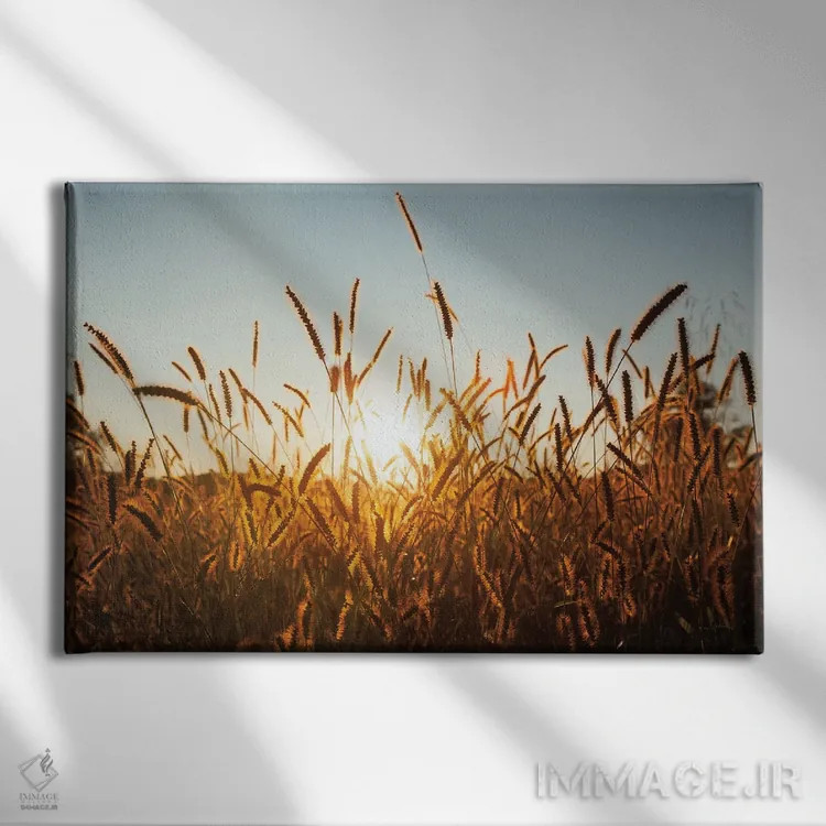 تابلو غلات صبحگاهی اثر الدندا - نمای روبهرو روی دیوار