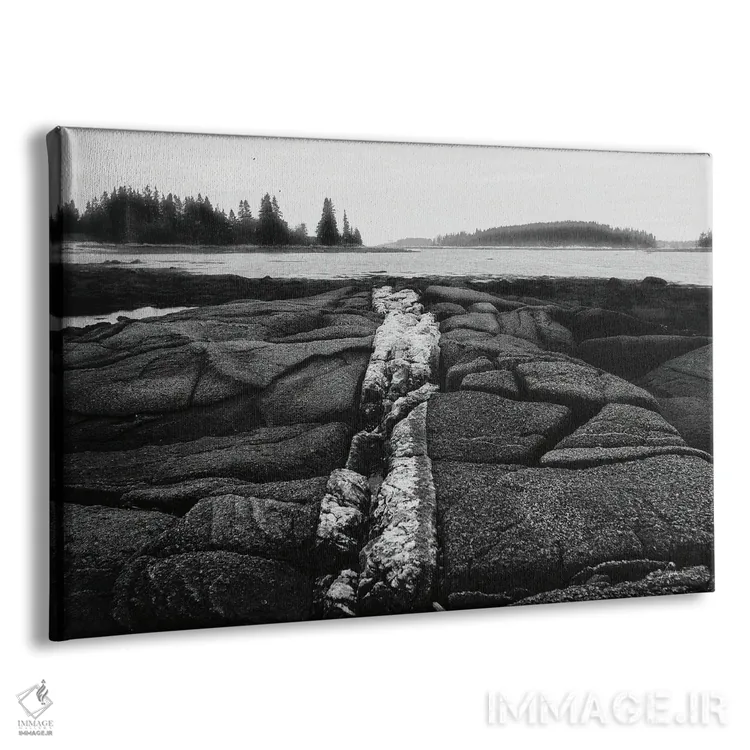 تابلو ساحل سنگلاخی اثر الدندا - نمای پرسپکتیو محصول