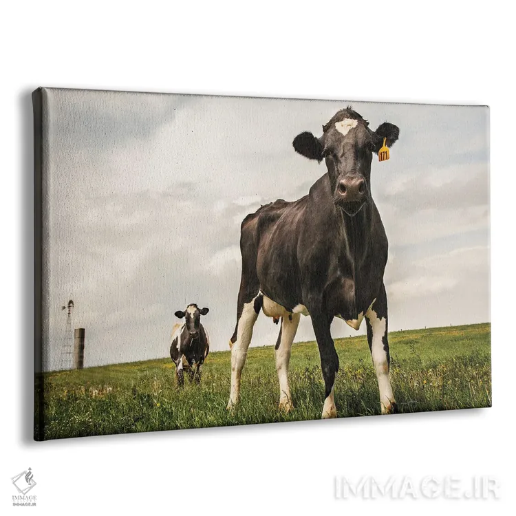 تابلو انتظار (رنگی) اثر الدندا - نمای پرسپکتیو محصول