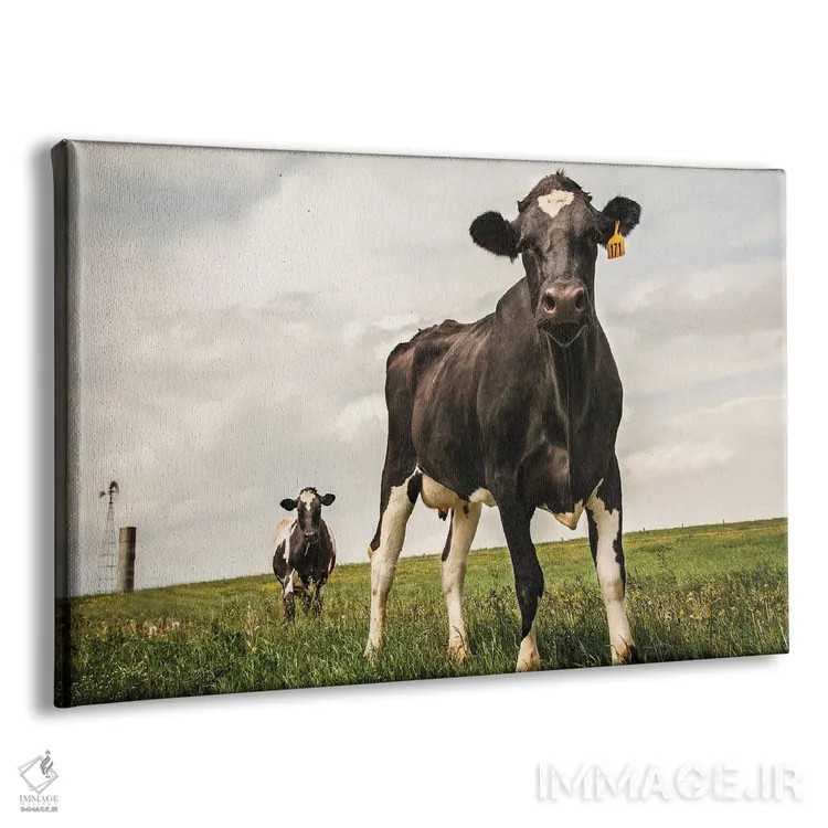 تابلو انتظار (رنگی) اثر الدندا - نمای پرسپکتیو محصول