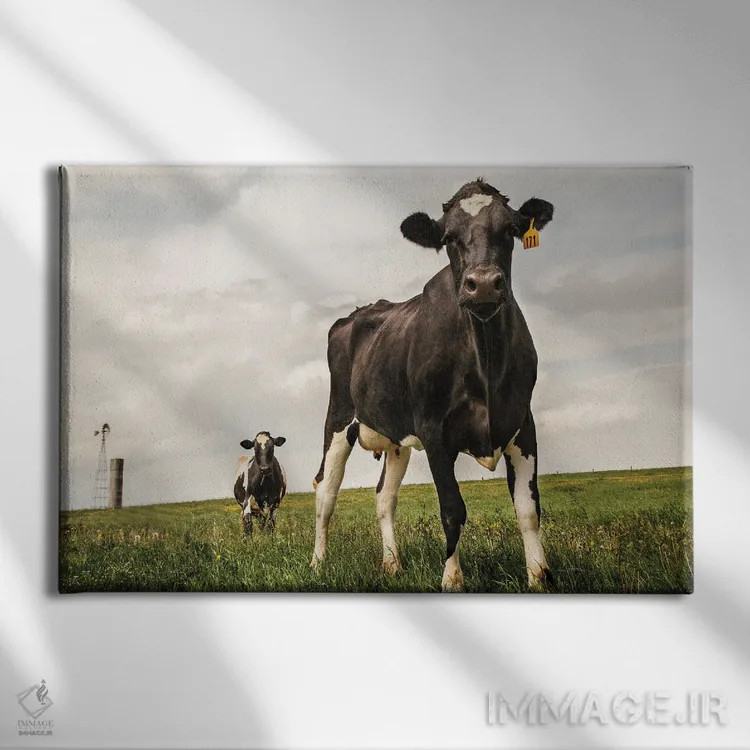 تابلو انتظار (رنگی) اثر الدندا - نمای روبهرو روی دیوار