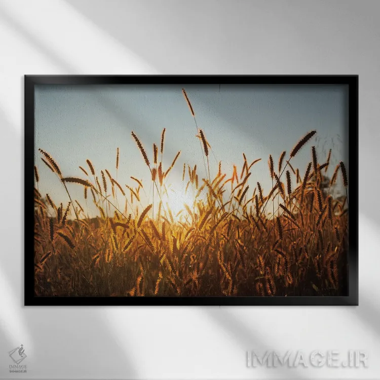 تابلو غلات صبحگاهی اثر الدندا - نمای قابدار مشکی