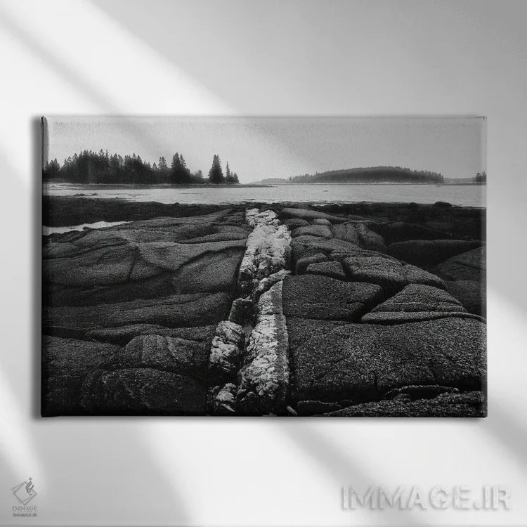 تابلو ساحل سنگلاخی اثر الدندا - نمای روبهرو روی دیوار