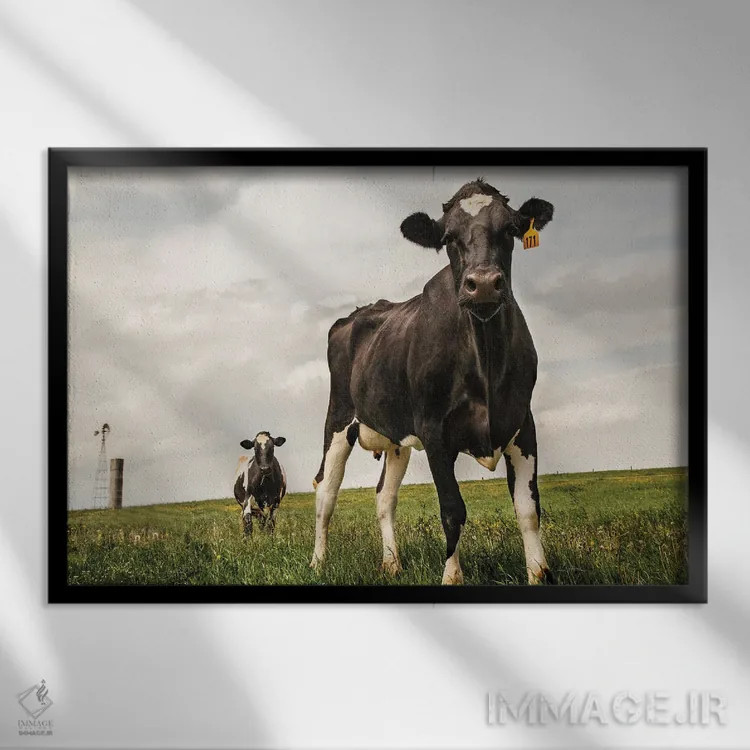 تابلو انتظار (رنگی) اثر الدندا - نمای قابدار مشکی