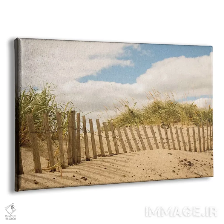 تابلو تلماسههای ساحلی ۱ اثر الدندا - نمای پرسپکتیو محصول