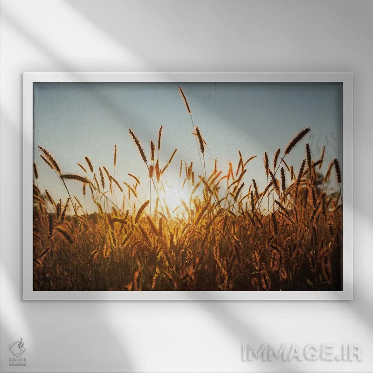تابلو غلات صبحگاهی اثر الدندا - نمای قابدار سفید