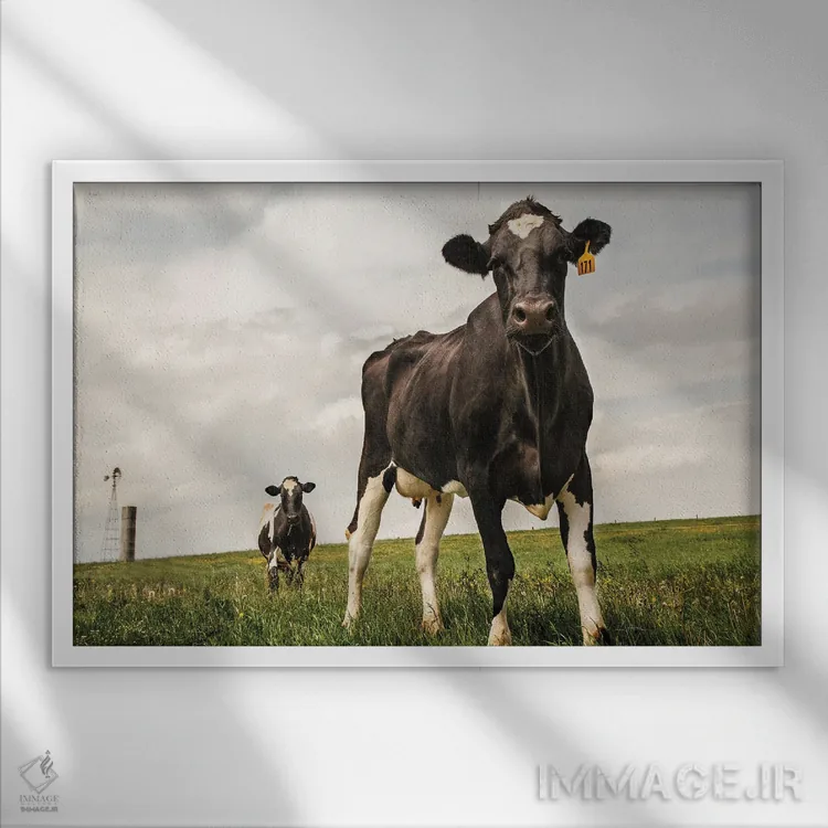 تابلو انتظار (رنگی) اثر الدندا - نمای قابدار سفید