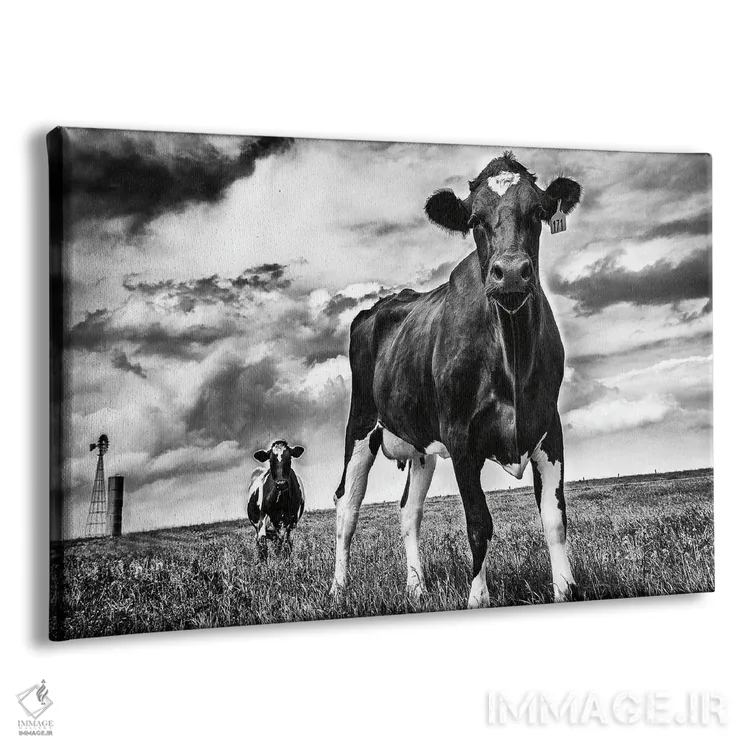 تابلو انتظار (سیاه و سفید) اثر الدندا - نمای پرسپکتیو محصول