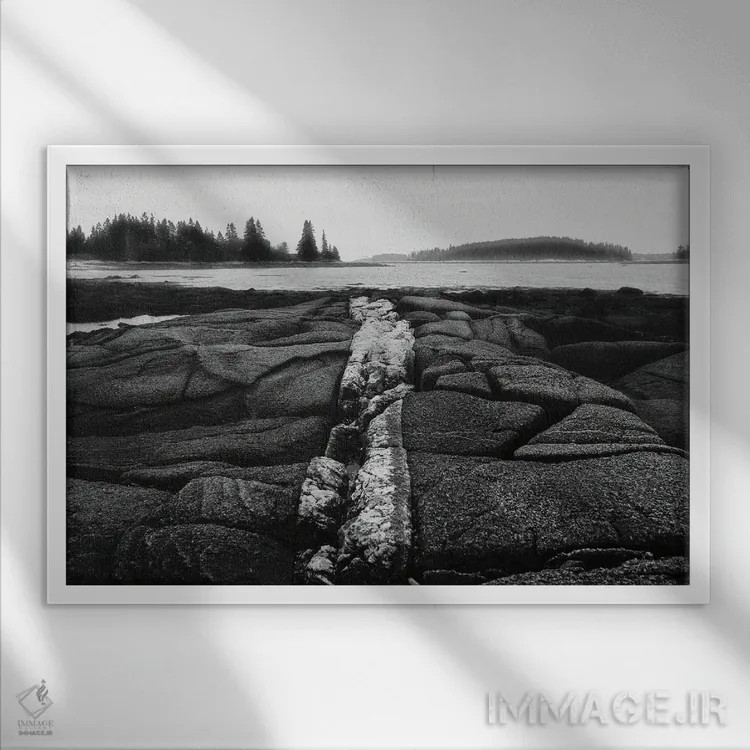 تابلو ساحل سنگلاخی اثر الدندا - نمای قابدار سفید