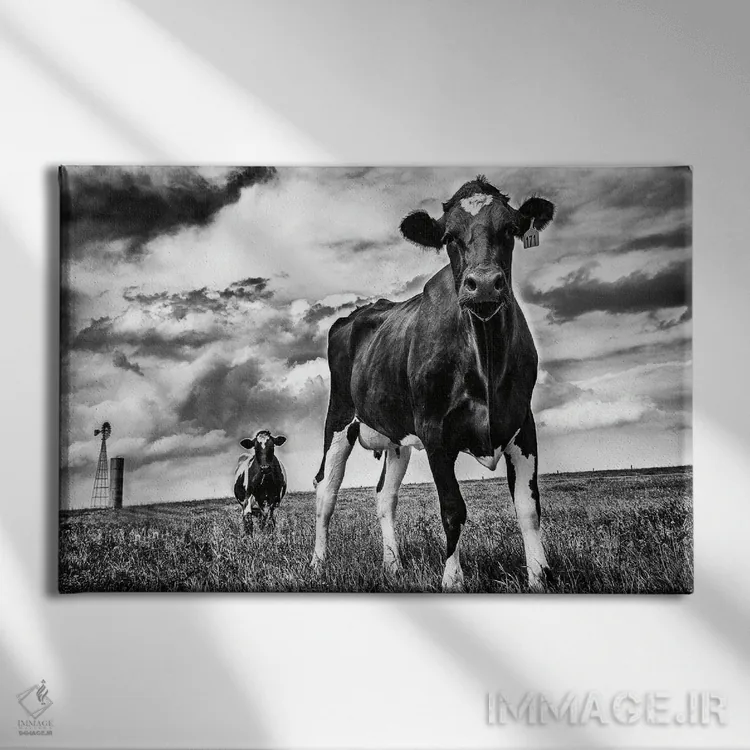 تابلو انتظار (سیاه و سفید) اثر الدندا - نمای روبهرو روی دیوار