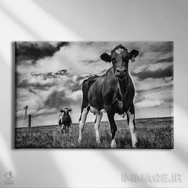 تابلو انتظار (سیاه و سفید) اثر الدندا - نمای روبهرو روی دیوار