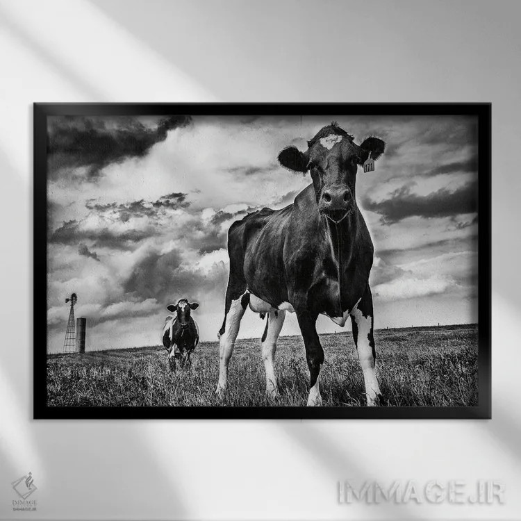 تابلو انتظار (سیاه و سفید) اثر الدندا - نمای قابدار مشکی