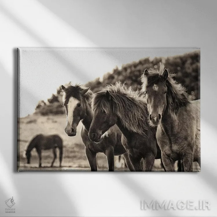 تابلو سه اسب (قهوهای سیر) اثر الدندا - نمای روبهرو روی دیوار