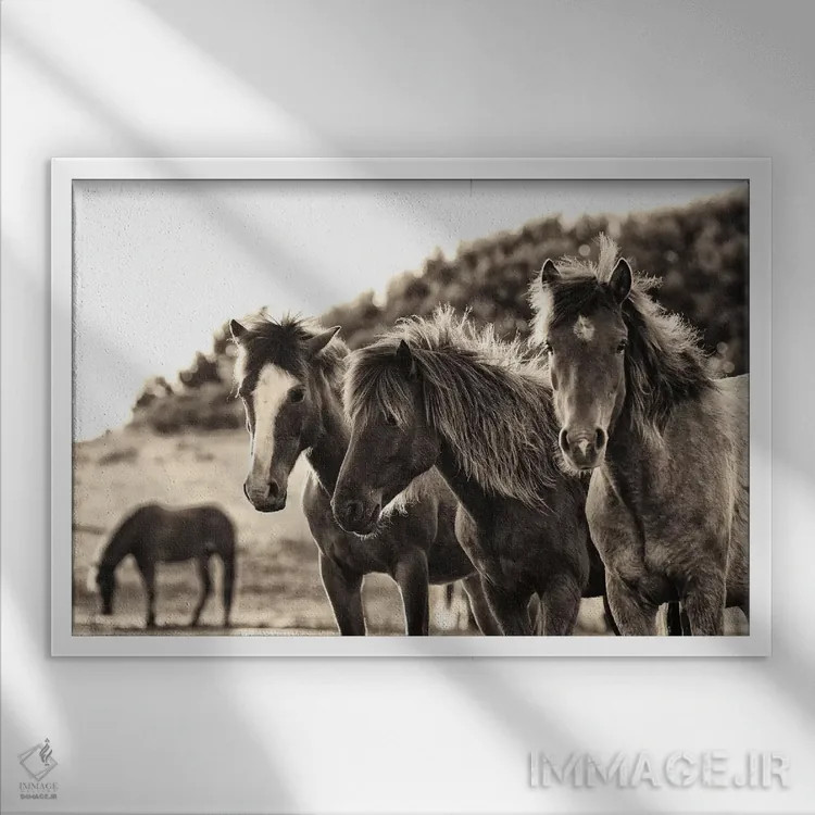 تابلو سه اسب (قهوهای سیر) اثر الدندا - نمای قابدار سفید