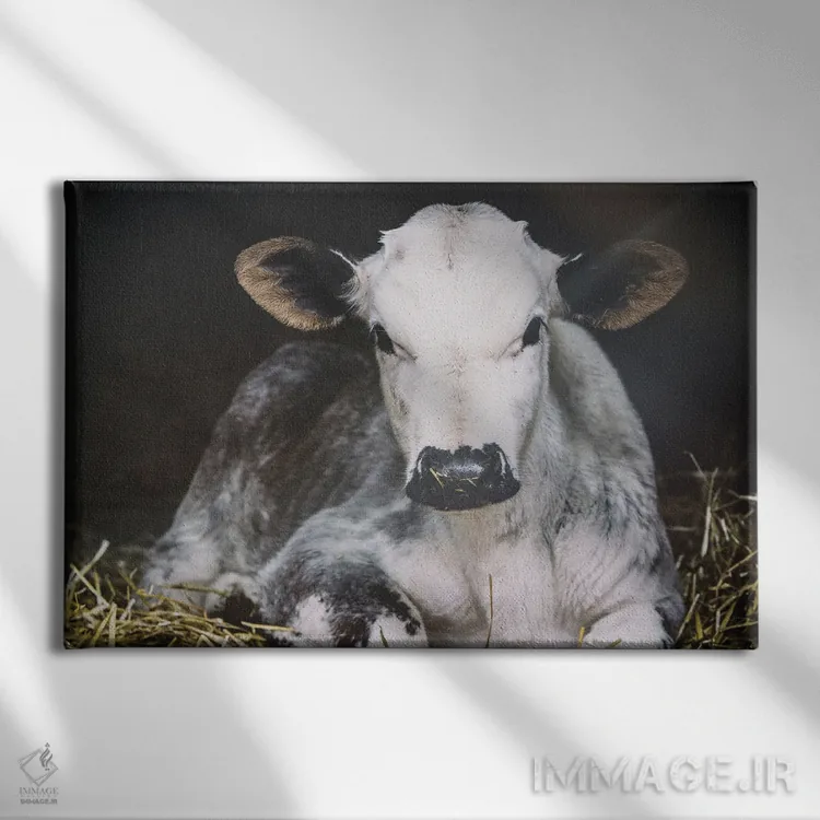 تابلو روز شلوغ (برش) اثر الدندا - نمای روبهرو روی دیوار