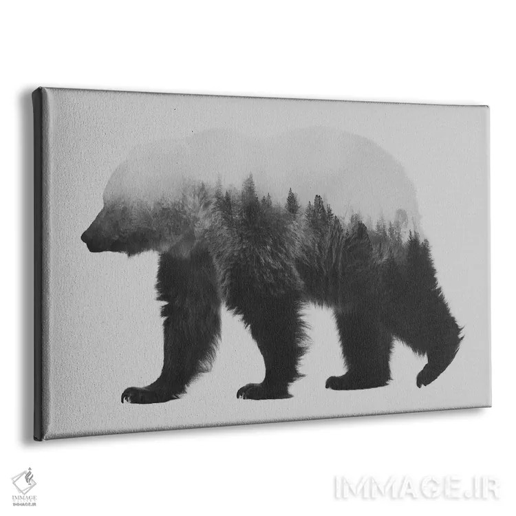 تابلو بیورن ۱ (سیاه و سفید) اثر آندریاس لیه - نمای پرسپکتیو محصول