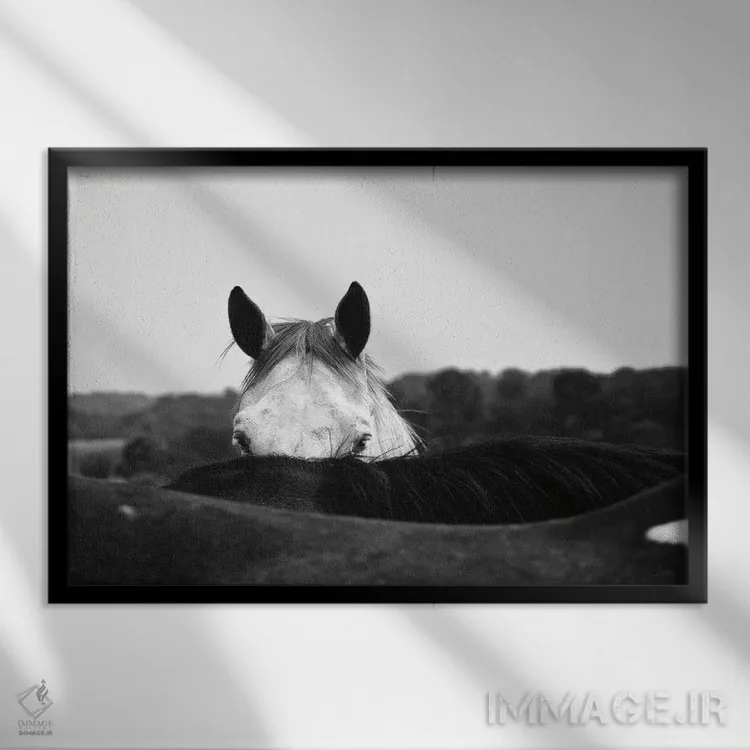 تابلو لاس زدن اثر الدندا - نمای قابدار مشکی