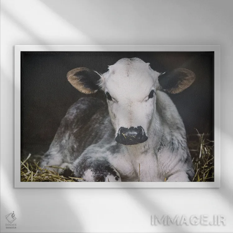 تابلو روز شلوغ (برش) اثر الدندا - نمای قابدار سفید