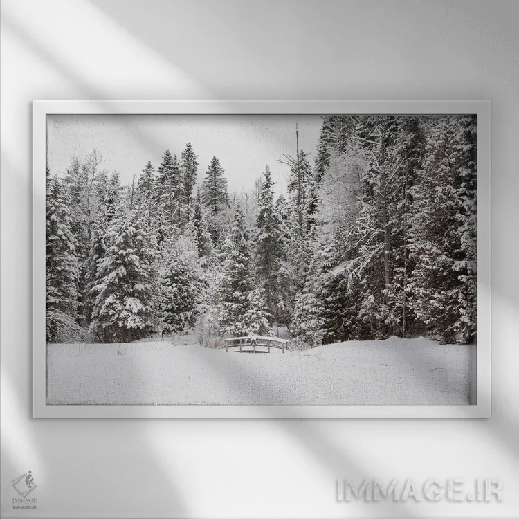 تابلو روی پل اثر الدندا - نمای قابدار سفید