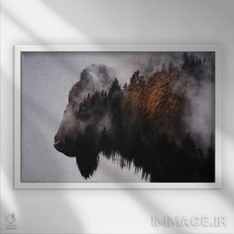 تابلو گاومیش آمریکایی اثر آندریاس لیه - نمای قابدار سفید