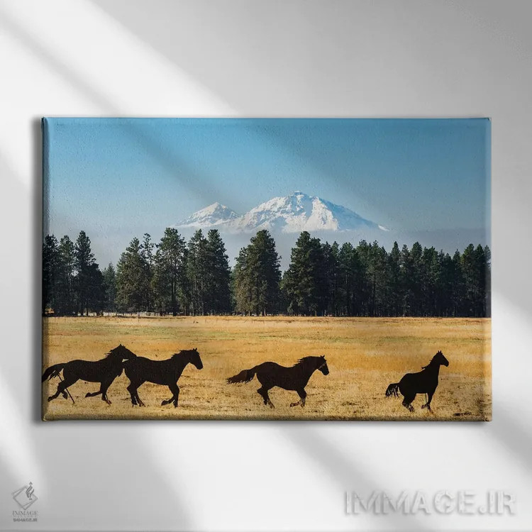 تابلو اورگان، حوضه رودخانه کلمبیا، حوضه رودخانه دشوتس، مجسمه فلزی موستانگها در مزرعه اثر آلیسون جونز - نمای روبهرو روی دیوار