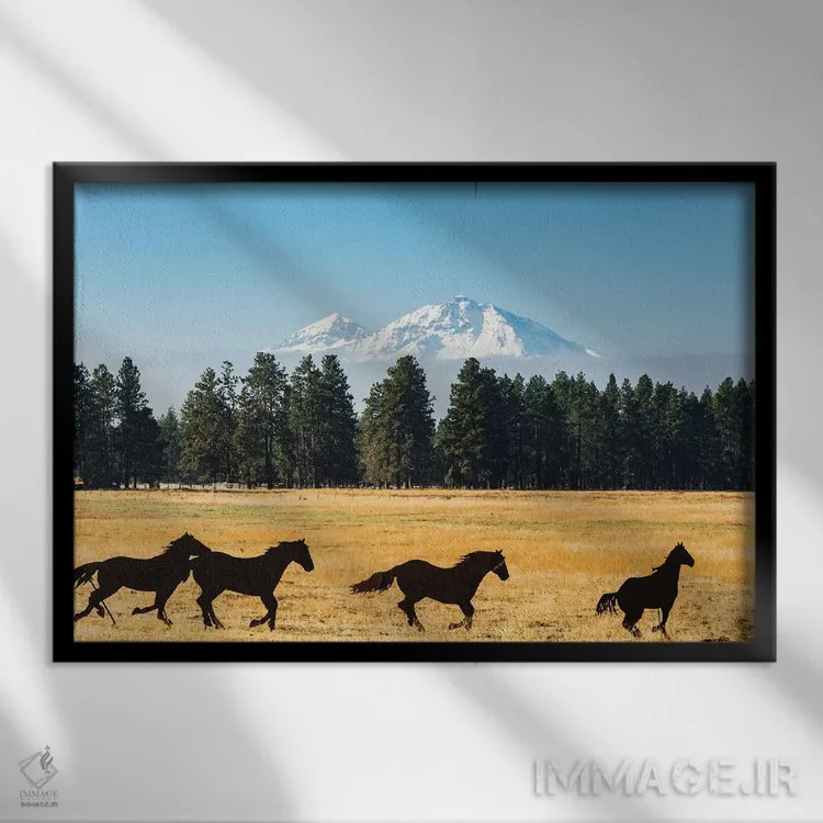 تابلو اورگان، حوضه رودخانه کلمبیا، حوضه رودخانه دشوتس، مجسمه فلزی موستانگها در مزرعه اثر آلیسون جونز - نمای قابدار مشکی