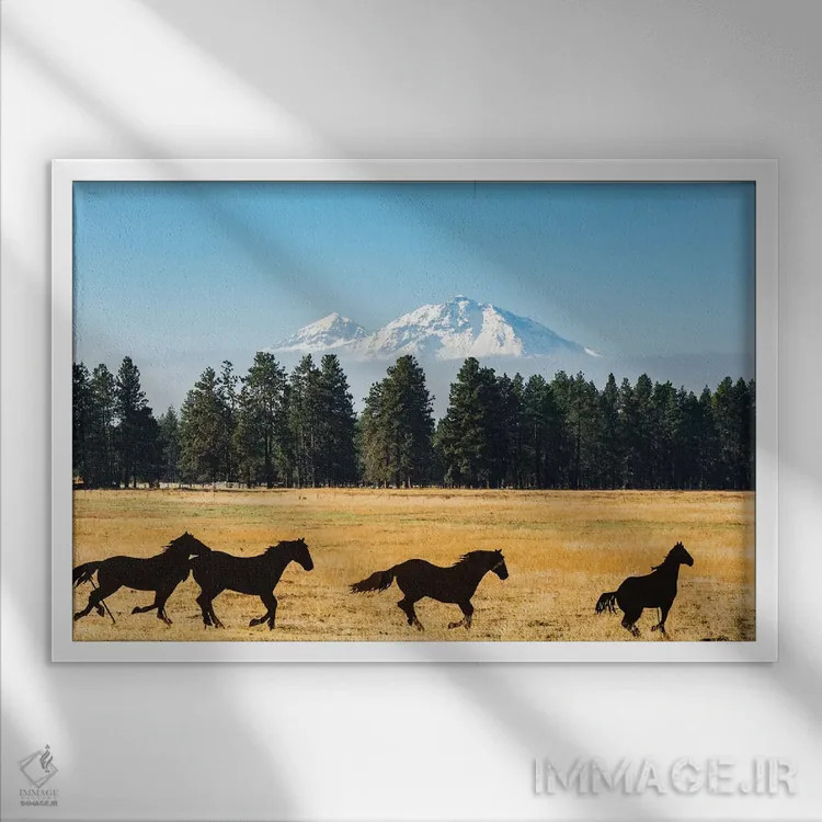 تابلو اورگان، حوضه رودخانه کلمبیا، حوضه رودخانه دشوتس، مجسمه فلزی موستانگها در مزرعه اثر آلیسون جونز - نمای قابدار سفید