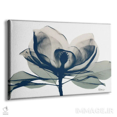 تابلو ماگنولیای آبی در دامنهها I اثر آلبرت کوئتسیِر - نمای پرسپکتیو محصول