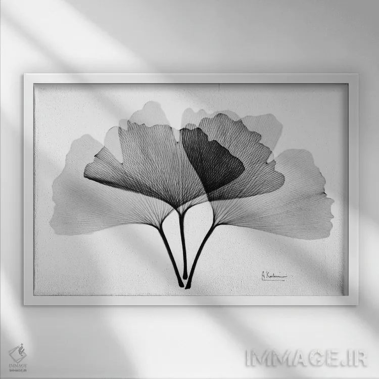 تابلو جینکو معکوس II اثر آلبرت کوئتسیِر - نمای قابدار سفید