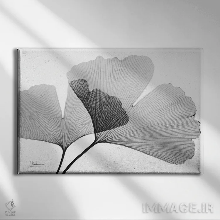تابلو جینکو معکوس III اثر آلبرت کوئتسیِر - نمای روبهرو روی دیوار