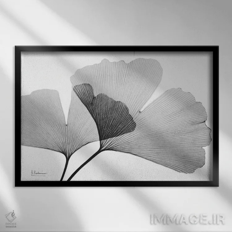 تابلو جینکو معکوس III اثر آلبرت کوئتسیِر - نمای قابدار مشکی