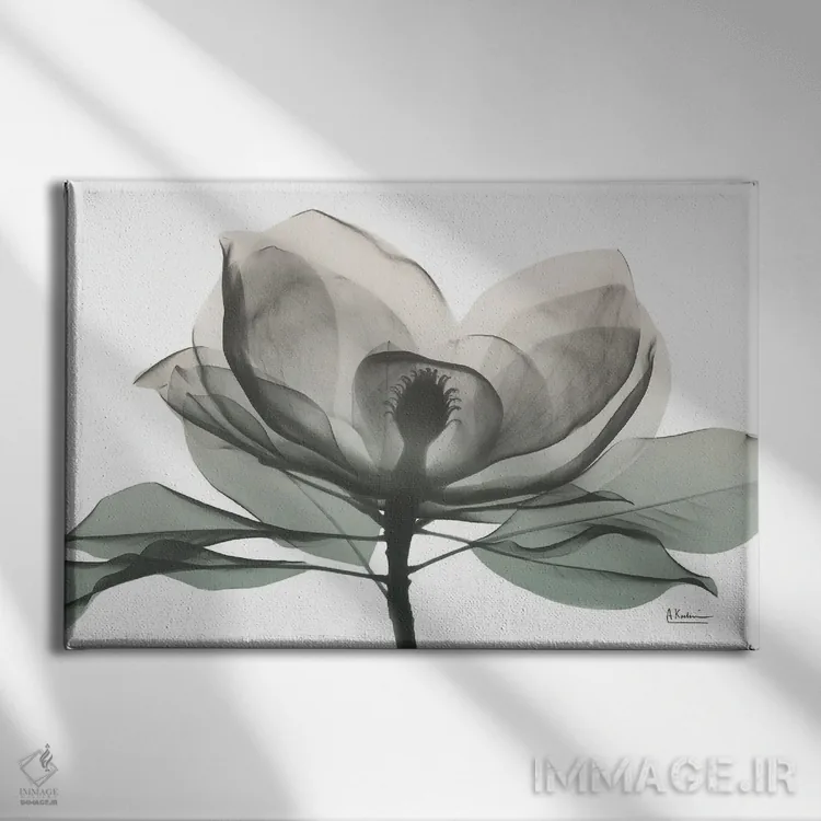 تابلو ماگنولیای مریمگلی I اثر آلبرت کوئتسیِر - نمای روبهرو روی دیوار