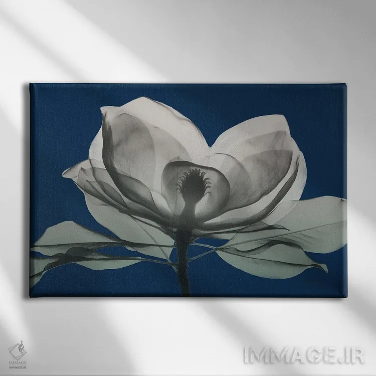 تابلو ماگنولیای سرمهای I اثر آلبرت کوئتسیِر - نمای روبهرو روی دیوار