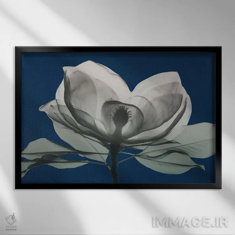 تابلو ماگنولیای سرمهای I اثر آلبرت کوئتسیِر - نمای قابدار مشکی