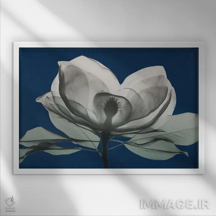 تابلو ماگنولیای سرمهای I اثر آلبرت کوئتسیِر - نمای قابدار سفید