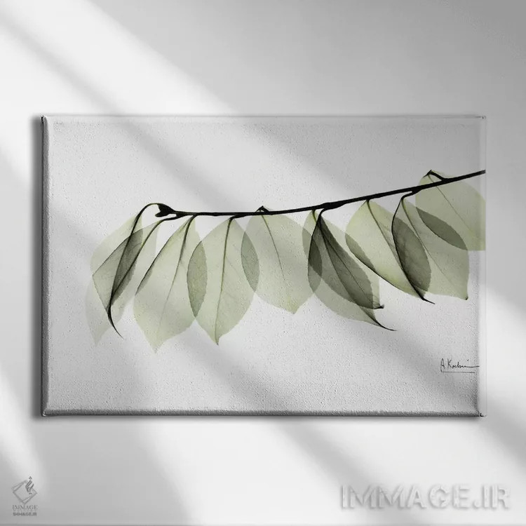 تابلو برگ کاملیا در سفید اثر آلبرت کوئتسیِر - نمای روبهرو روی دیوار