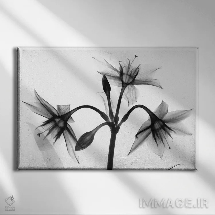 تابلو سهتایی غمگین اثر آلبرت کوئتسیِر - نمای روبهرو روی دیوار
