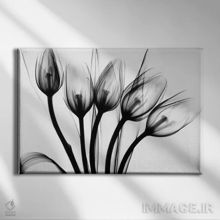 تابلو لالههای رژهرو اثر آلبرت کوئتسیِر - نمای روبهرو روی دیوار