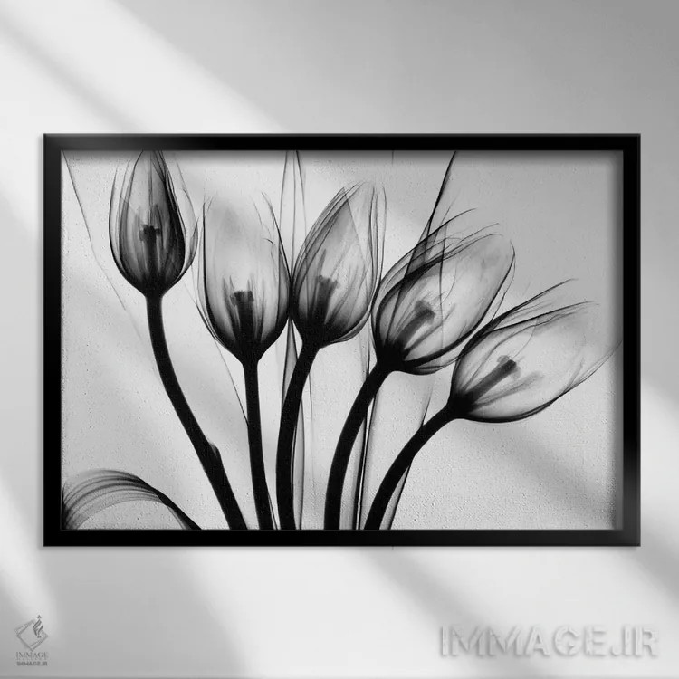 تابلو لالههای رژهرو اثر آلبرت کوئتسیِر - نمای قابدار مشکی