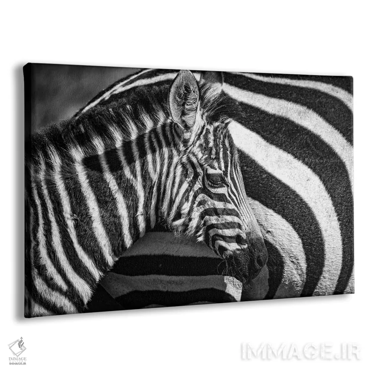 تابلو ذخیرهگاه ملی ماسایی مارا، شهرستان ناروک، کنیا I اثر الکس بیوس - نمای پرسپکتیو محصول