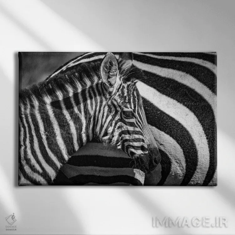 تابلو ذخیرهگاه ملی ماسایی مارا، شهرستان ناروک، کنیا I اثر الکس بیوس - نمای روبهرو روی دیوار