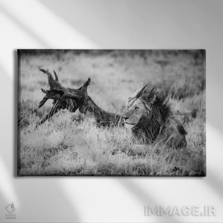 تابلو ذخیرهگاه ملی ماسایی مارا، شهرستان ناروک، کنیا II اثر الکس بیوس - نمای روبهرو روی دیوار