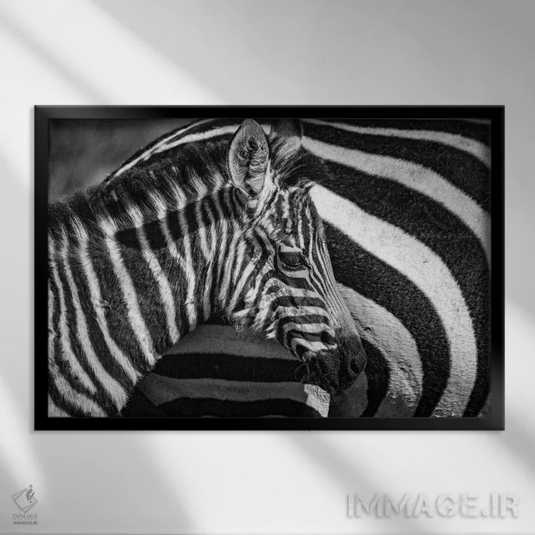 تابلو ذخیرهگاه ملی ماسایی مارا، شهرستان ناروک، کنیا I اثر الکس بیوس - نمای قابدار مشکی