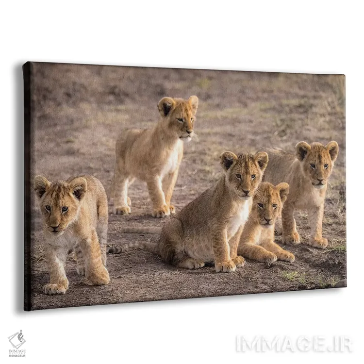 تابلو ذخیرهگاه ملی ماسایی مارا، شهرستان ناروک، کنیا IV اثر الکس بیوس - نمای پرسپکتیو محصول