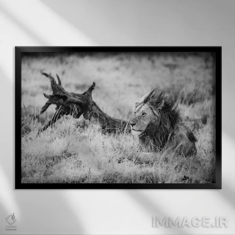 تابلو ذخیرهگاه ملی ماسایی مارا، شهرستان ناروک، کنیا II اثر الکس بیوس - نمای قابدار مشکی