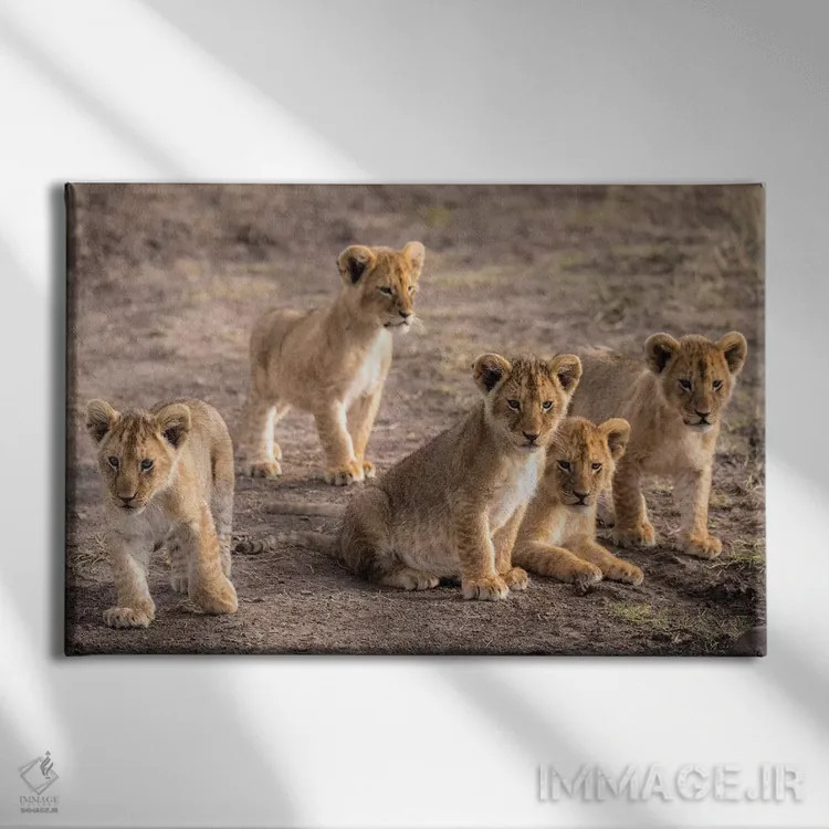 تابلو ذخیرهگاه ملی ماسایی مارا، شهرستان ناروک، کنیا IV اثر الکس بیوس - نمای روبهرو روی دیوار