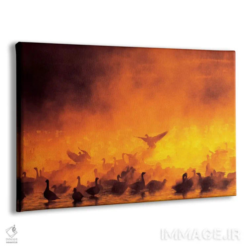 تابلو دسته غازهای برفی در مه، پناهگاه ملی حیات وحش بوسکه دل آپاچی، شهرستان سوکورو، نیومکزیکو، آمریکا اثر آرتور موریس - نمای پرسپکتیو محصول