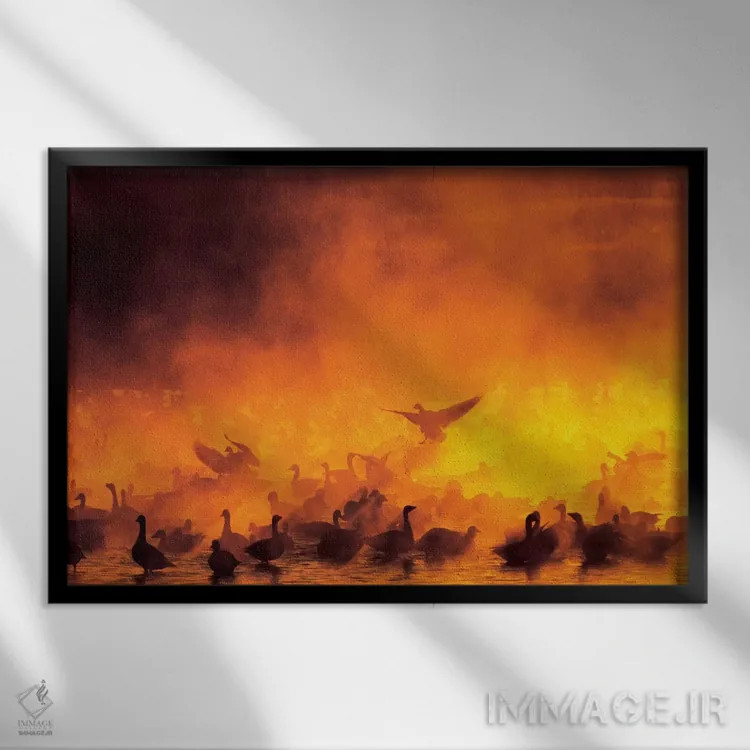 تابلو دسته غازهای برفی در مه، پناهگاه ملی حیات وحش بوسکه دل آپاچی، شهرستان سوکورو، نیومکزیکو، آمریکا اثر آرتور موریس - نمای قابدار مشکی