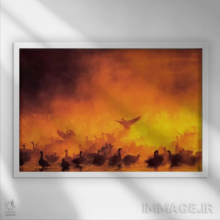 تابلو دسته غازهای برفی در مه، پناهگاه ملی حیات وحش بوسکه دل آپاچی، شهرستان سوکورو، نیومکزیکو، آمریکا اثر آرتور موریس - نمای قابدار سفید