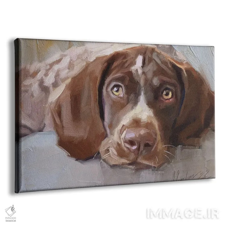 تابلو پرترهٔ پوینتر ژرمن شورت هیر (سگ شکاری آلمانی) اثر الکس مووچون - نمای پرسپکتیو محصول